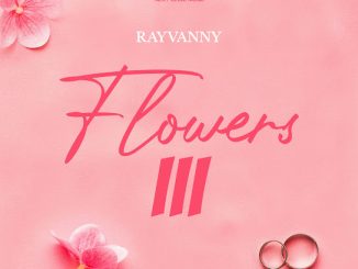 Rayvanny – Mchepuko Ft Phina